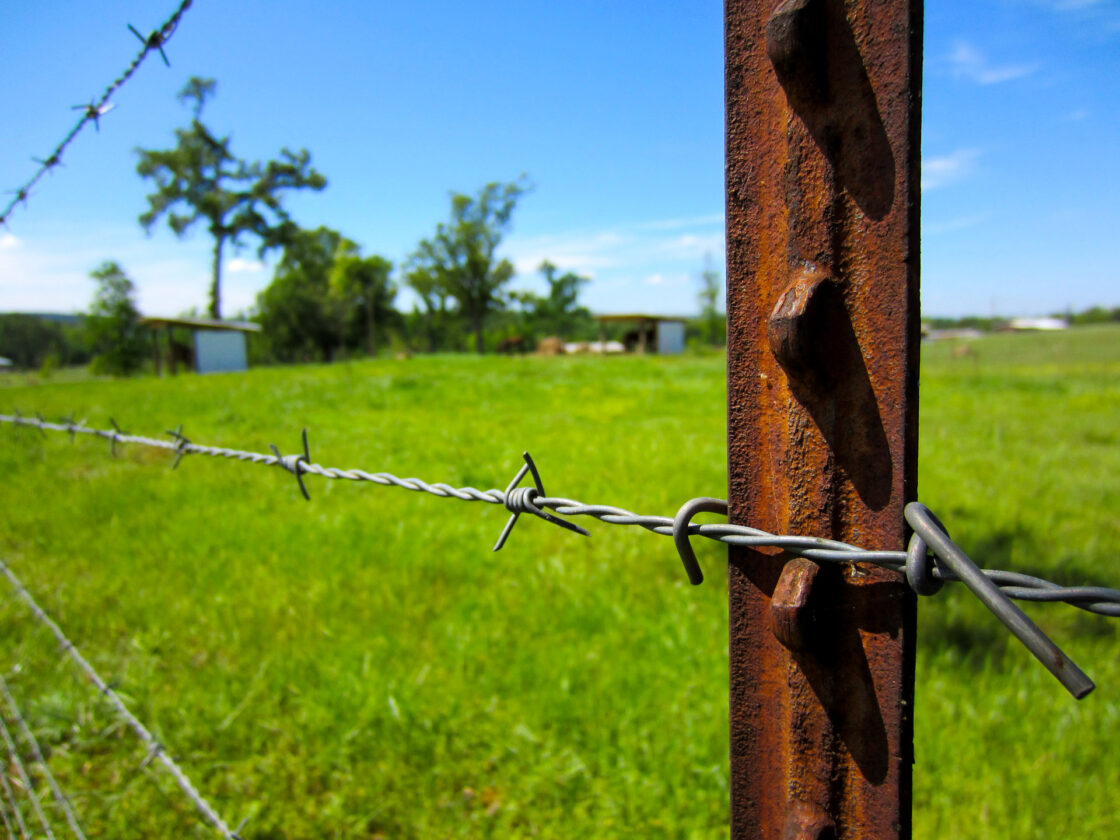 Heifer Ranch Changed my Student’s Outlook on Poverty