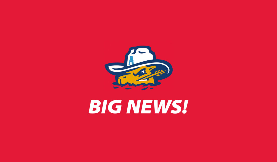 Amarillo Sod Poodles: Official Partner