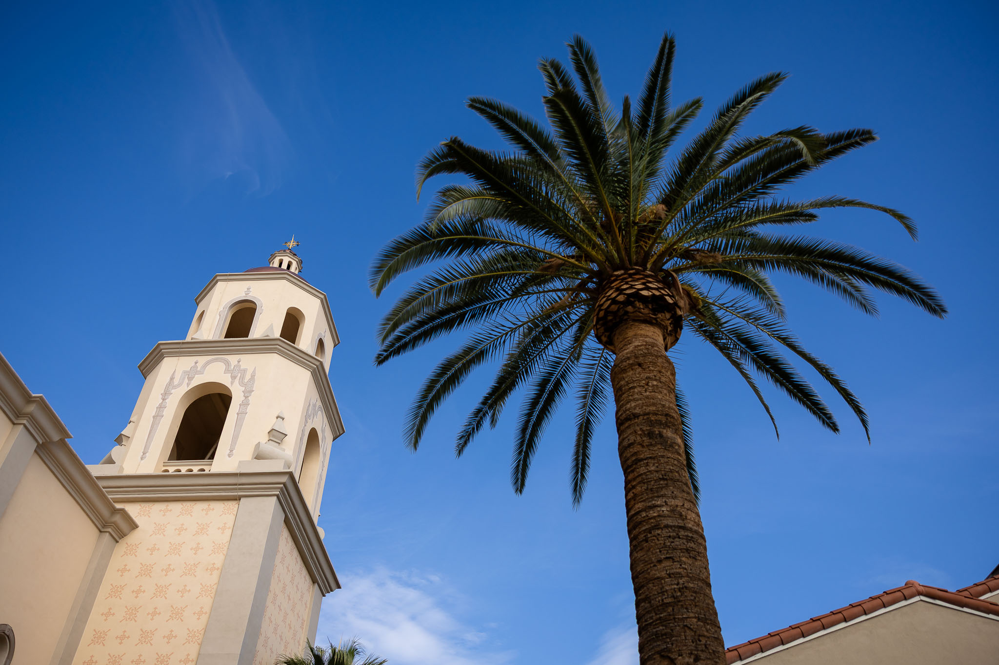 bishop-misko-installation-tucson-jpegJoe-39